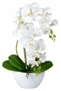 Darček ku dňu babičky a dedka UMELÁ ORCHIDEA